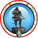 Nft Mysan logo