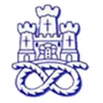 Nywkastly Tawn logo