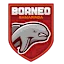 Bwrnyw Samarynda logo