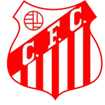 Capivariano U20 logo