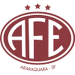 Ferroviária U20 logo
