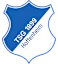 Hoffenheim logo
