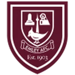 Ymlyy logo