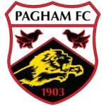 Bagham logo